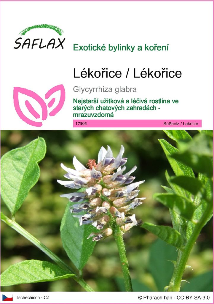 SAFLAX - Lékořice / Lékořice - Glycyrrhiza glabra - 30 Obrázek produktu 
