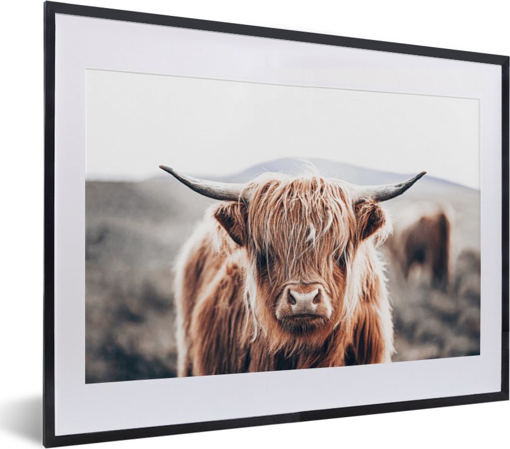 MuchoWow Gerahmtes Poster Schottischer Highlander - Berg - Hoorn 40x30 cm - Poster mit Schwarzem Bilderrahmen Wandposter Rahmen Foto Bilder - Bil...