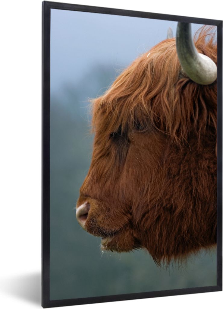 MuchoWow MuchoWow Gerahmtes Poster Schottische Hochlandrind - Tiere - Nebel 60x90 cm - Poster mit zchwarzem Bilderrahmen - Kunst