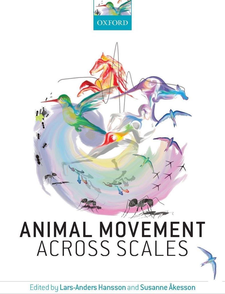 Animal Movement Across Scales