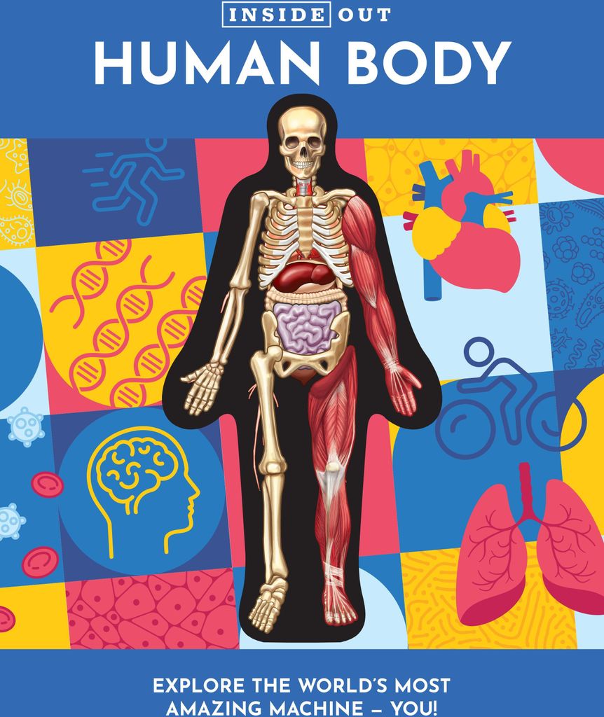 Inside Out Human Body