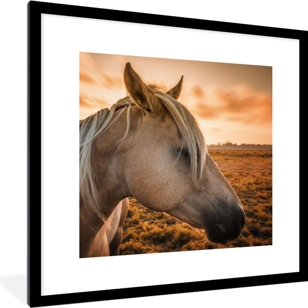 MuchoWow Gerahmtes Poster Pferd - Tiere - Porträt 40x40 cm - Poster mit Schwarzem Bilderrahmen Wandposter Rahmen Foto Bilder - Poster - Plakat i...