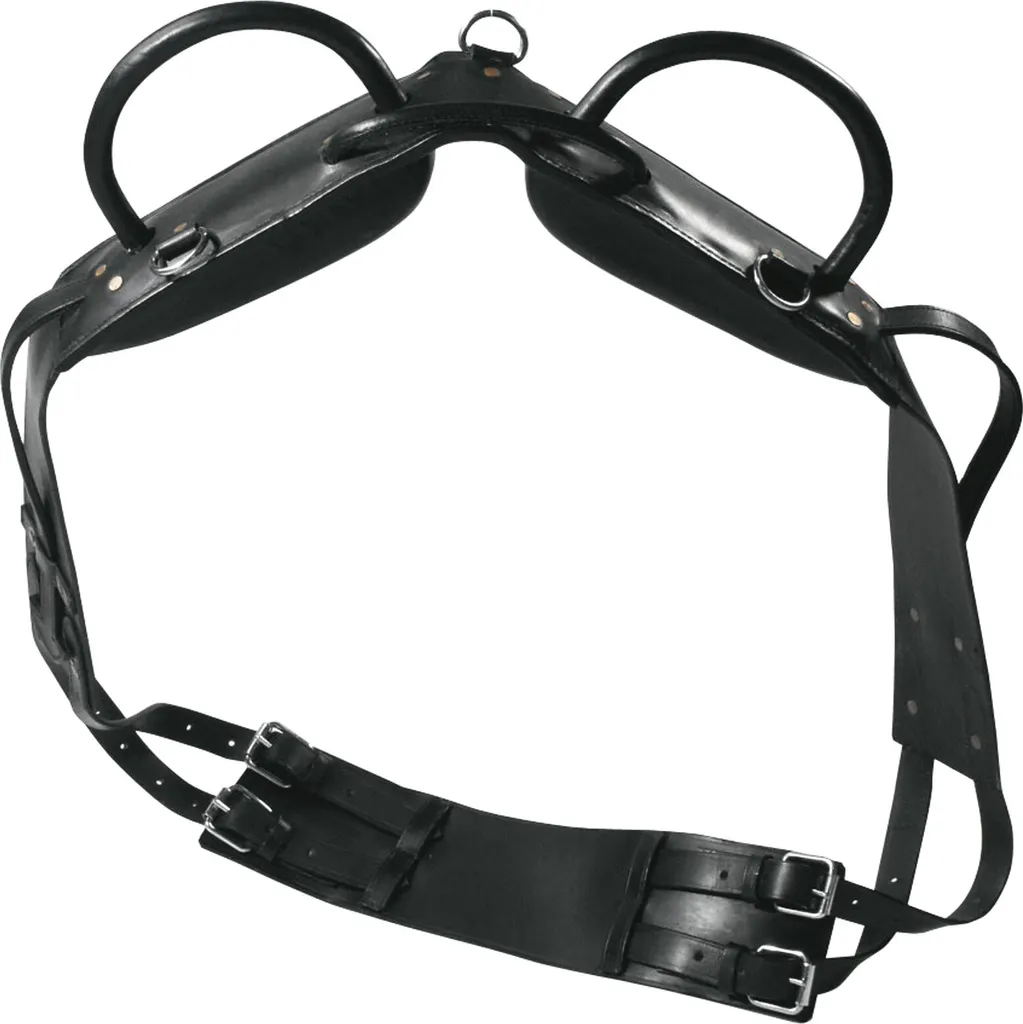 Waldhausen Harnais de longe et de voltige noir WB - Équipement premium