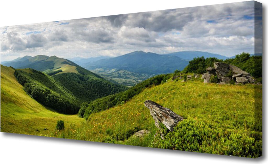 Tulup Leinwand-Bilder 125x50 Wandbild Canvas Kunstdruck Gebirge Wiese Landschaft
