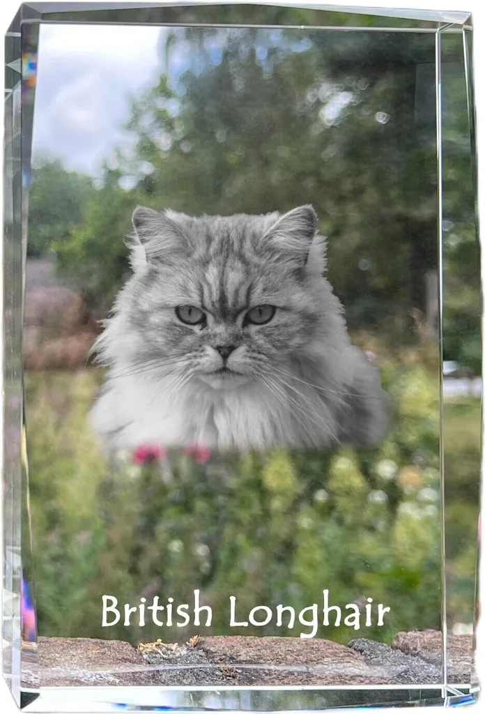 Arredamento Moderno Art-Dog: Statuetta Cristallo British Longhair