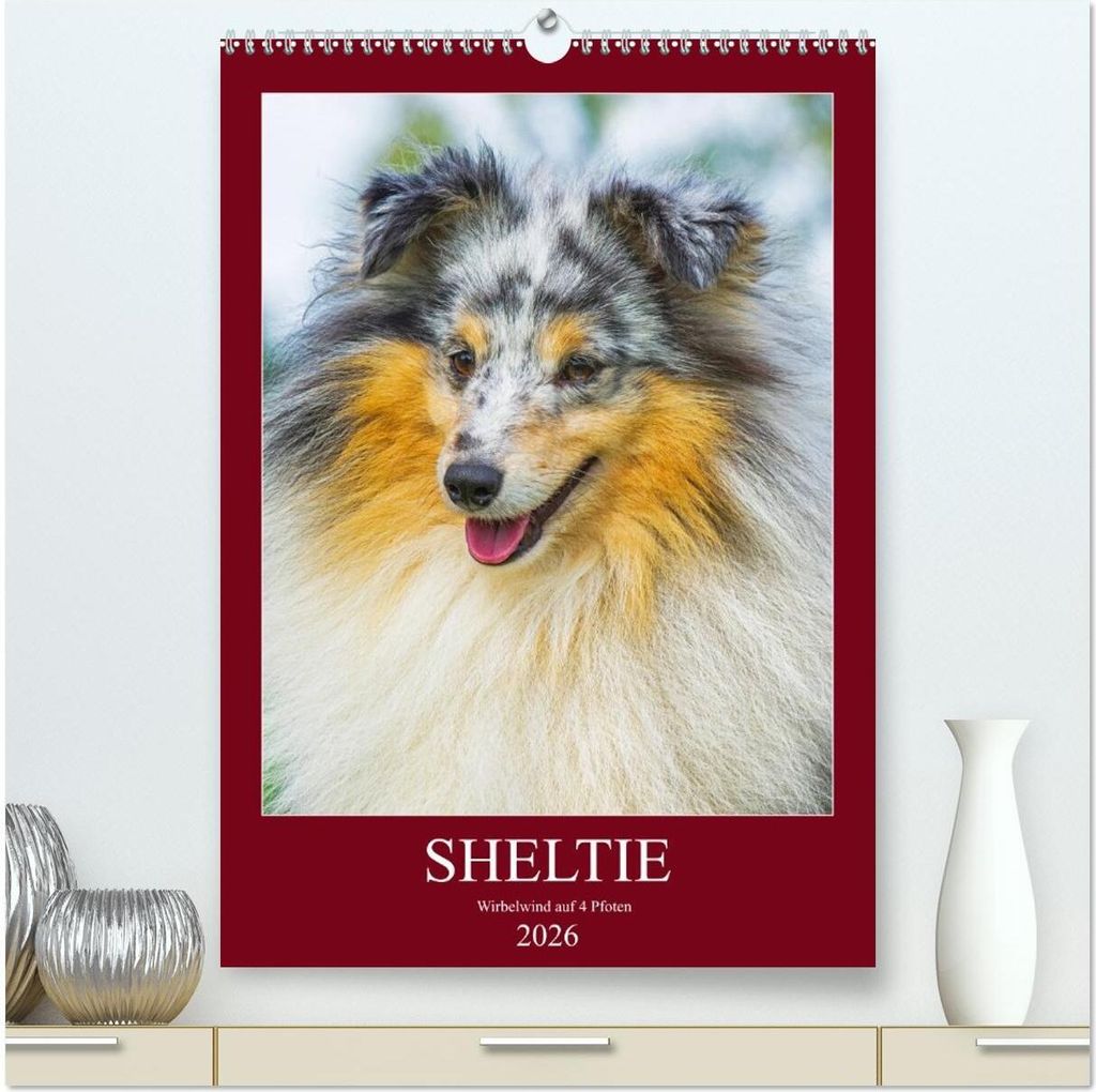 Sheltie - Wirbelwind auf 4 Pfoten (hochwertiger Premium Wandkalender 2026 DIN A2 hoch), Kunstdruck in Hochglanz