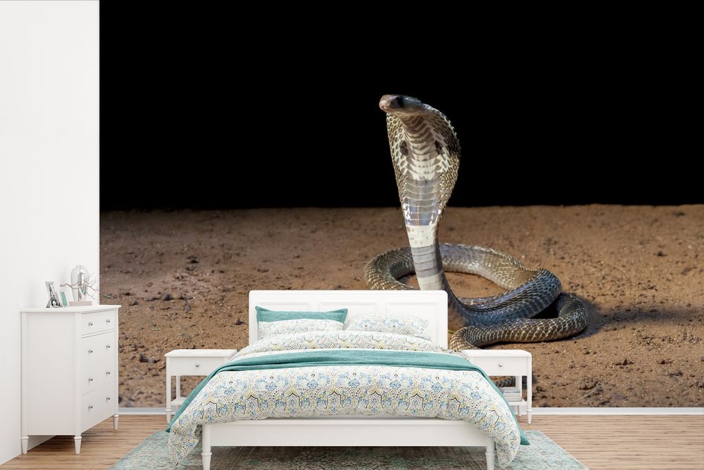 MuchoWow Fototapete für Wohnzimmer oder Schlafzimmer Wandtapete Vinyl Motivtapete Indische Kobra bewegt sich im Sand - 450x300 cm - Gemusterte