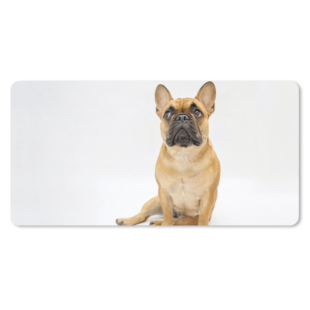 MuchoWow Mauspad Mousepad Französische Bulldogge - Weiß - Braun 60x30 cm - Mousepads - Maus Mat - Pad - Mausunterlage - Nachhaltig