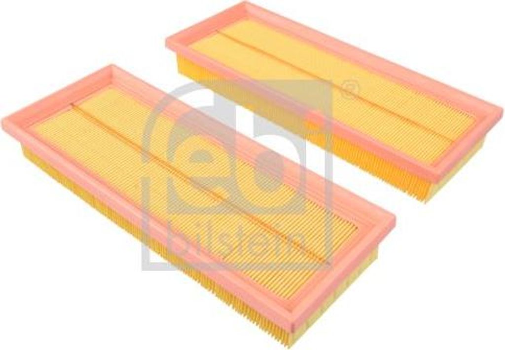FEBI BILSTEIN 172282 Luftfilter-Satz OE 05135447AA kompatibel mit Crossfire, C-Klasse, SLK, A4 8E, Bora, 3er E46