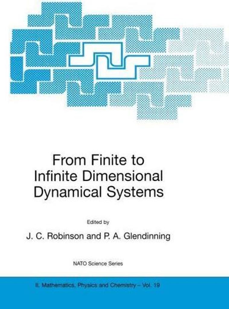 From Finite to Infinite Dimensional Dynamical Systems