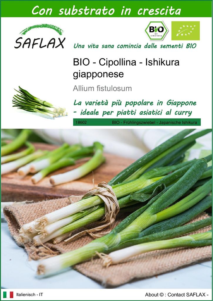 SAFLAX  -- Cipollina - Ishikura giapponese - 150 semi - Con Immagine del prodotto 