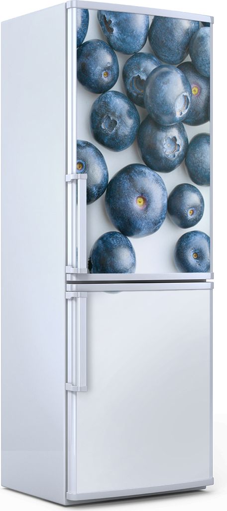 Magnete Dekorative - 70 cm x 190 cm - Küche - Magnetmatte Kühlschrankmagnete - Farbige Blaubeeren Früchte