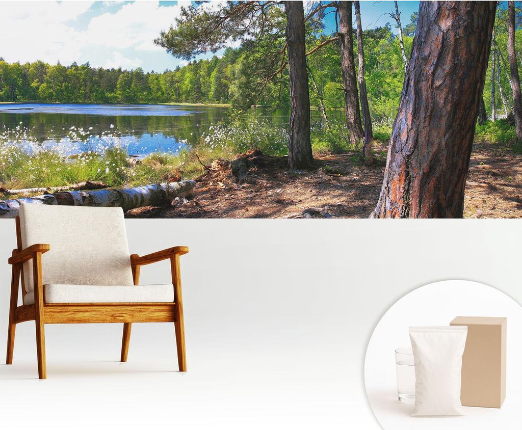 Fototapete - 250x104 cm - Tapete - Wandtapete - Wandbilder - Dekofolie - Tapete Folie - Wand - Dekoration - Wohnzimmer - Waldlandschaft