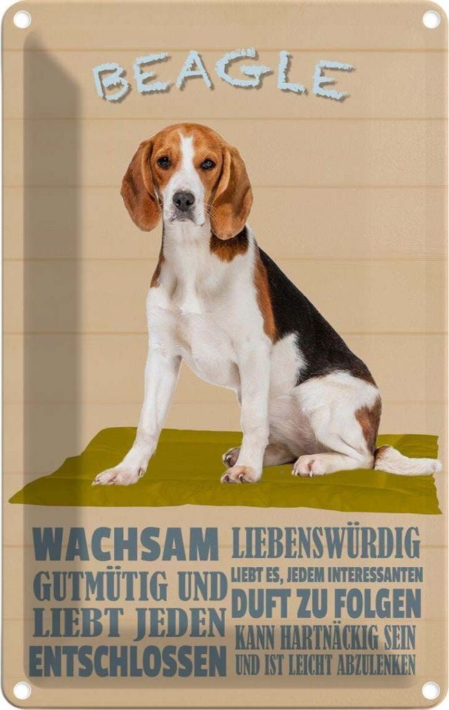 vianmo Blechschild 18x12 cm Beagle Hund gutmütig liebt jeden