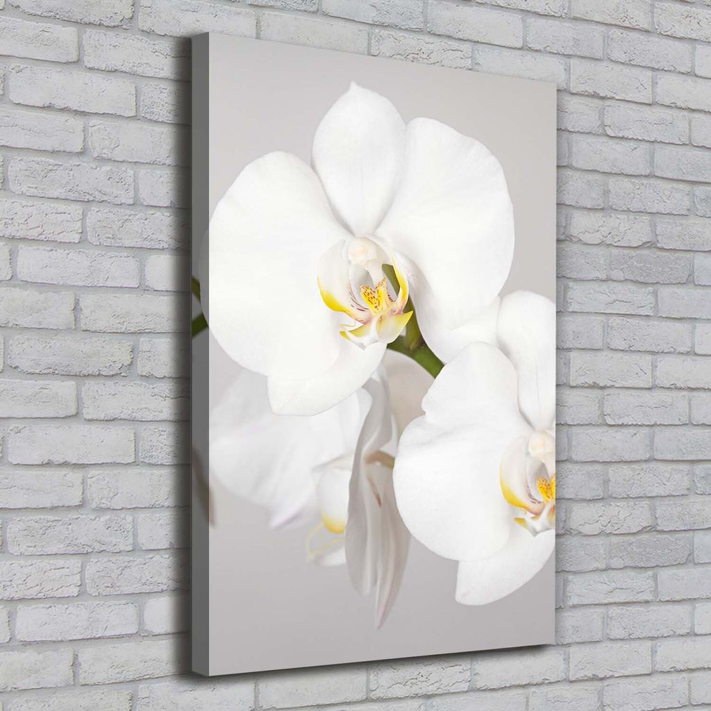 Tulup Leinwandbild - 70x100cm - Wandkunst - Drucke auf Leinwand - Leinwanddruck - Wohnzimmer Wanddekoration XXL - Wohnung Deko Kunstdrucke - Blum...