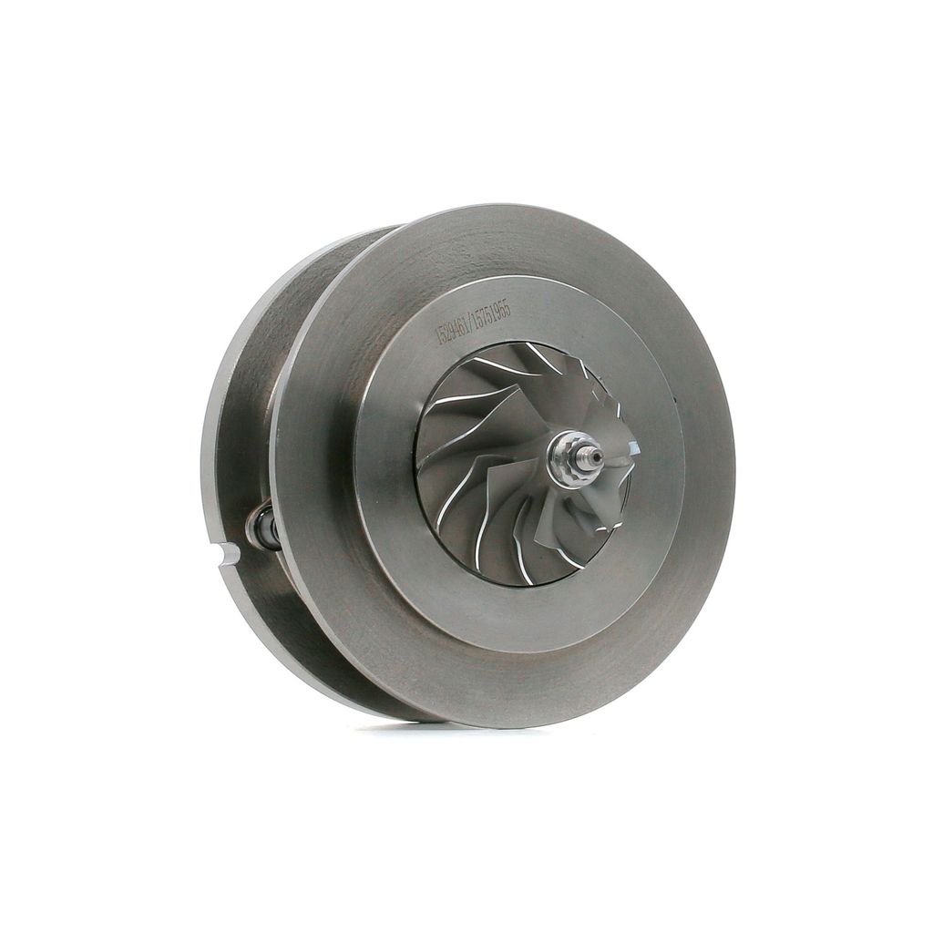 RIDEX 4973C0050 - OE 28231 27800 Rumpfgruppe, Lader für Santa Fe II (CM)