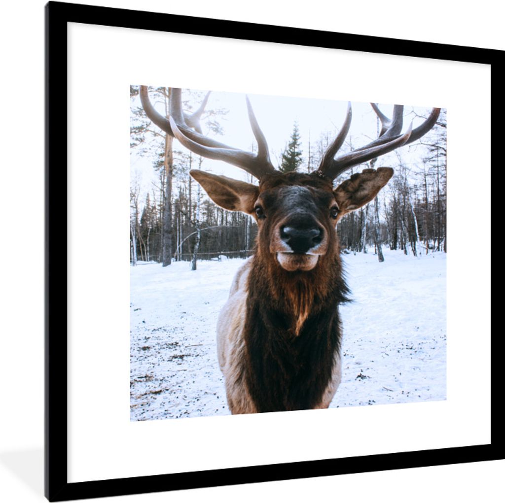 MuchoWow® MuchoWow® Gerahmtes Poster Rotwild - Schnee - Produktbild 