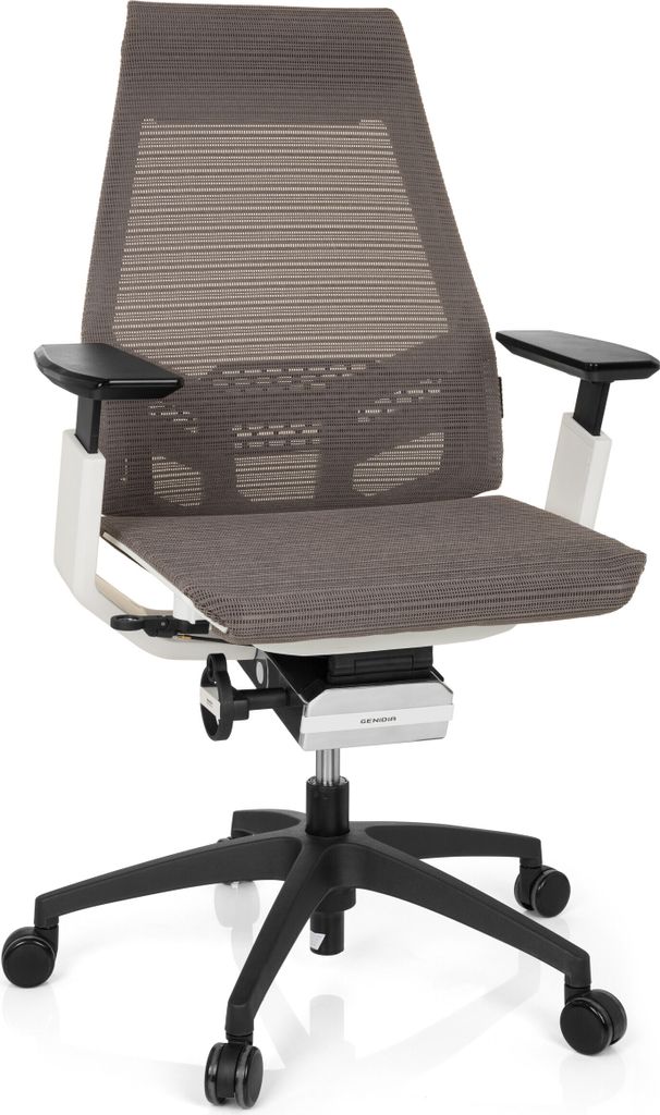 hjh OFFICE Profi Bürostuhl GENIDIA SMART WHITE Ergonomischer Schreibtischstuhl mit Armlehnen Netzstoff Grau/Weiß Drehstuhl für Büro, Zuhause