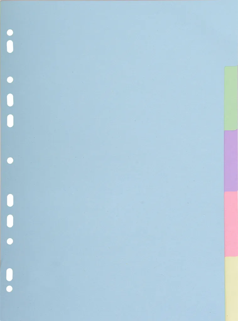 Exacompta 50 Intercalaires Pastel 170g A4 pour Classeur 5 Positions