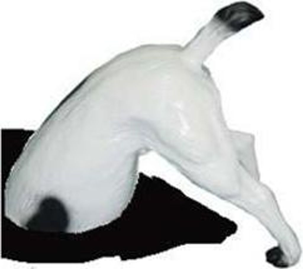 Verrückte Gartenfigur Statue Hund mit Hinterteil 25 cm Skulptur Figuren Statuen