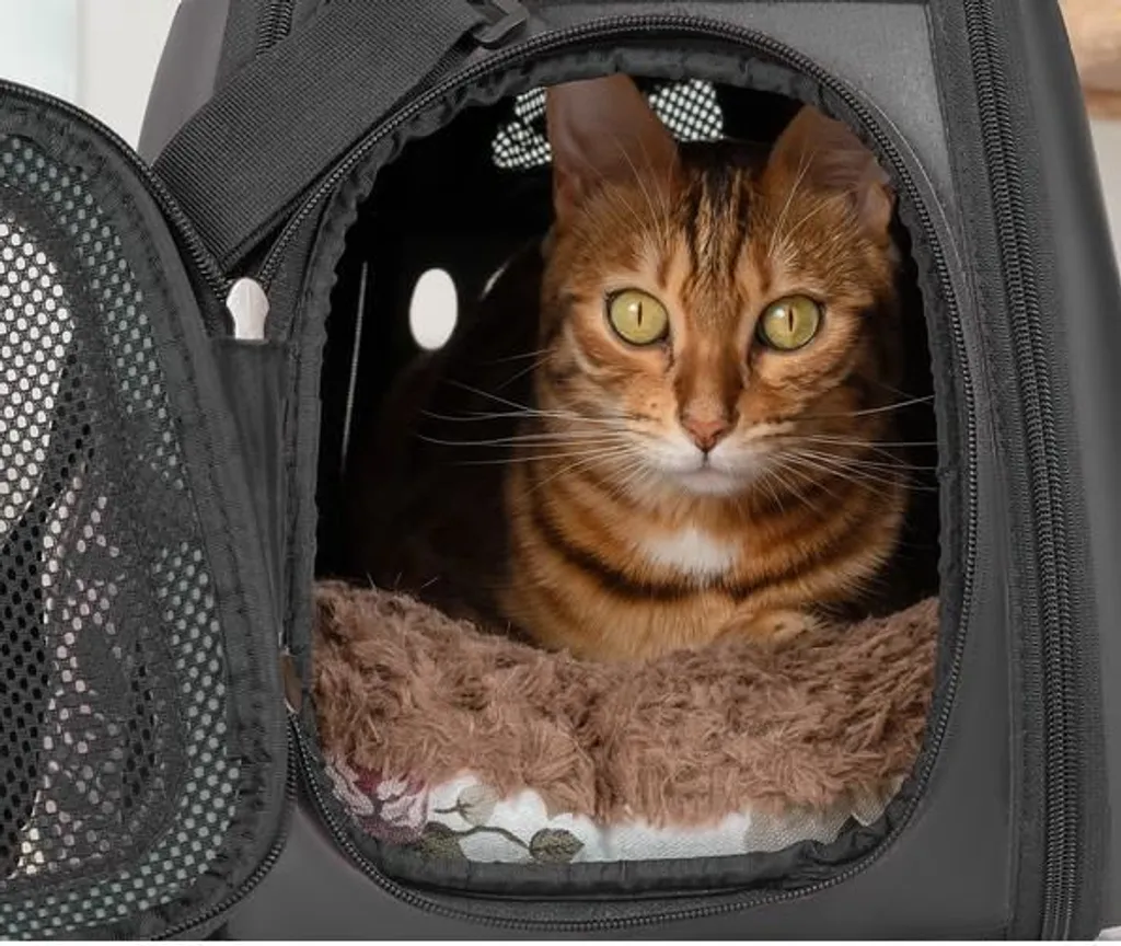 Borsa Trasportino Gatto e Cane Piccolo Nero | Morbida Carezza in Viaggio