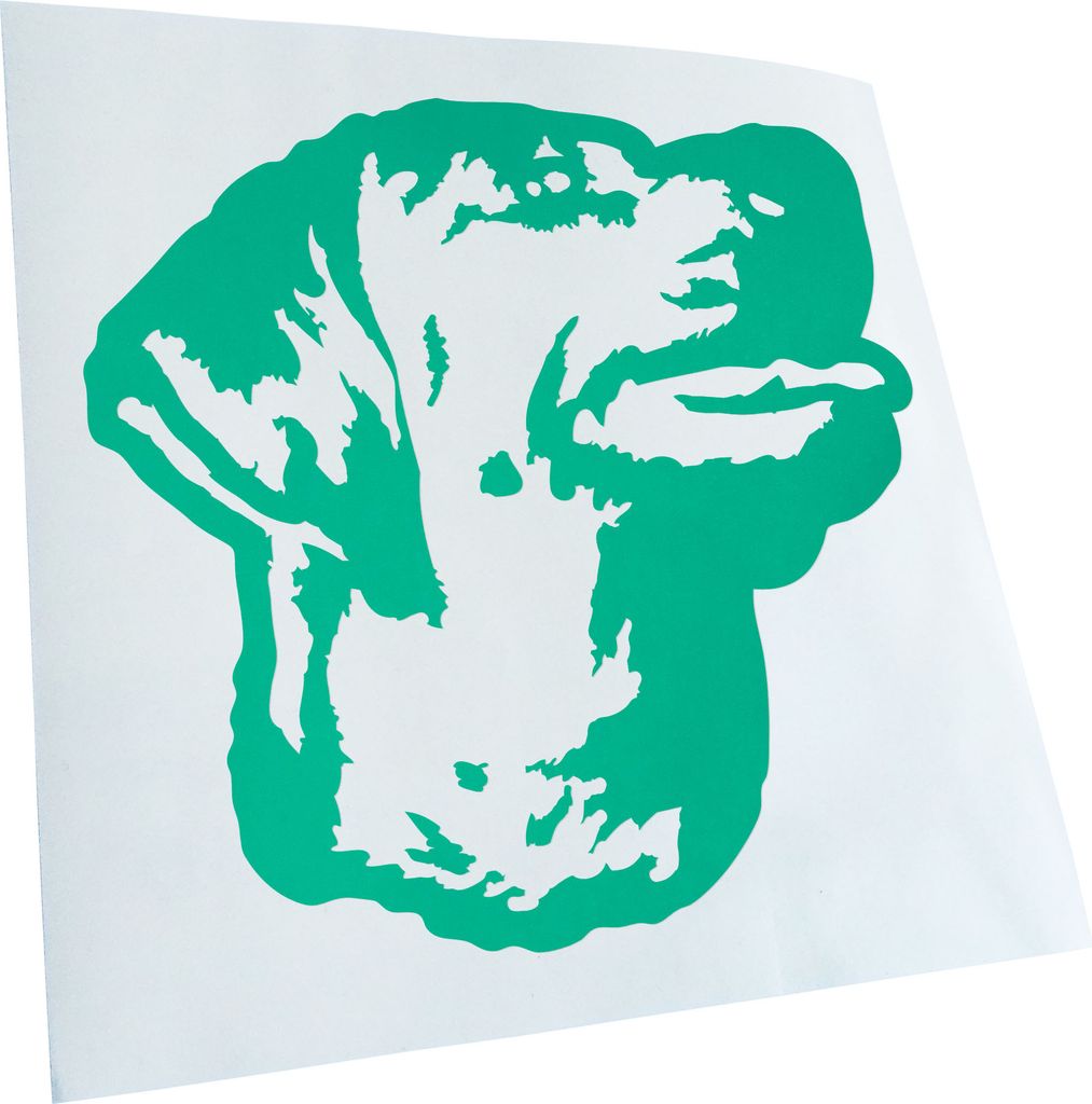 Kiwistar - Autoaufkleber - Redbone coonhound Hund - Türkis - 24x22cm - Aufkleber für Auto, Laptop, Fahrrad, LKW, Motorrad mehrfarbig JDM Decal Ra...