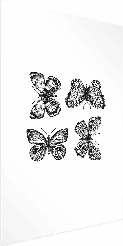 Poster Quattro Farfalle 60x90 cm - Stampa Vintage Alta Qualità Senza Cornice