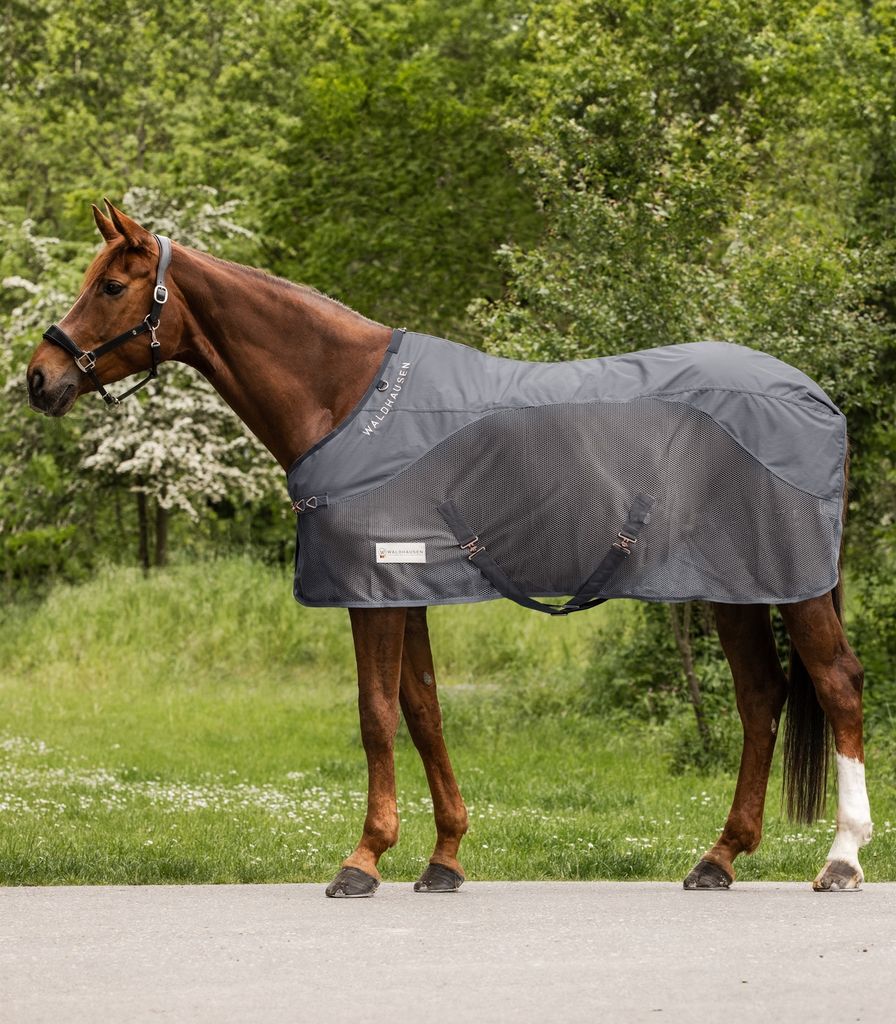 Waldhausen Comfort Regendecke Für Pferde 155 cm 155 cm Produktbild