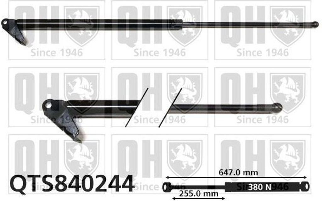 QUINTON HAZELL QTS840244 Gasfeder Heckklappendämpfer für MITSUBISHI Galant VII Schrägheck (E5A, E7A, E8A) 647mm