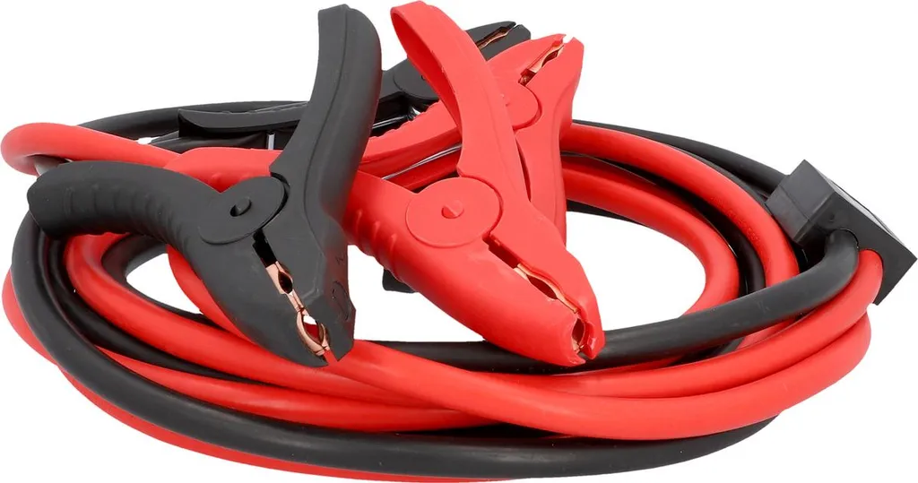 AEG Cavi Emergenza Batteria 97215 SP 16 - Mai più a piedi con AEG