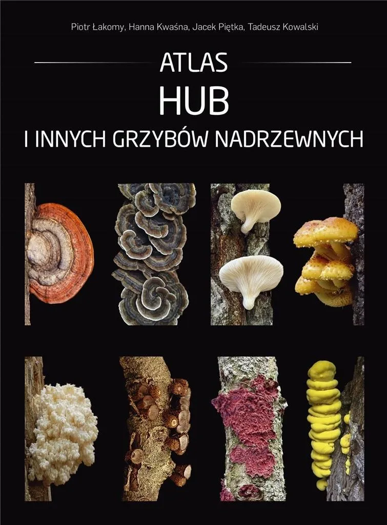 Atlas du moyeu et champignons arboricoles pour identifier les espèces
