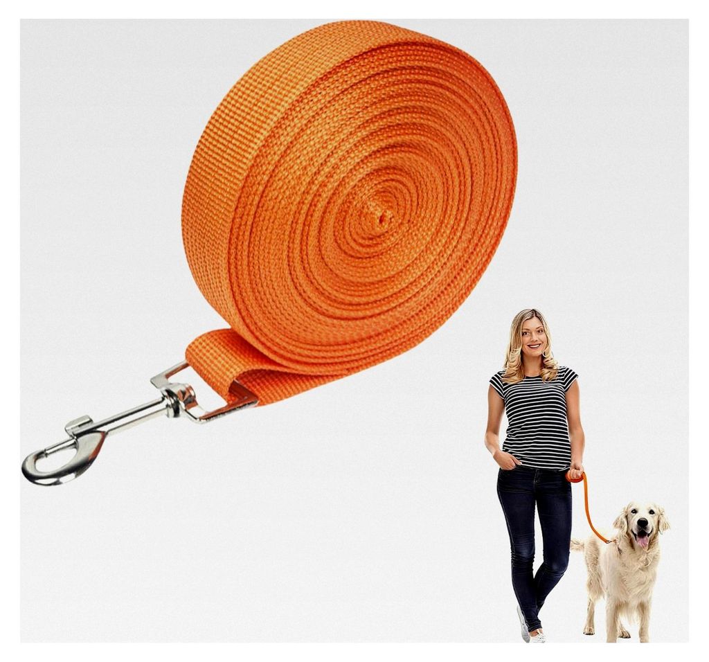 Schleppleine für Hunde, Ausbildungsleine mit Handschlaufe und D-Karabiner, Hundeleine für mittlere und kleine Hunde (10m Orange)