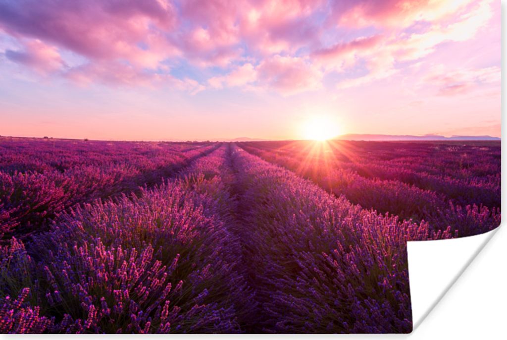MuchoWow Poster Lavendel - Blumen - Frankreich 60x40 cm - Schlafzimmerdekoration