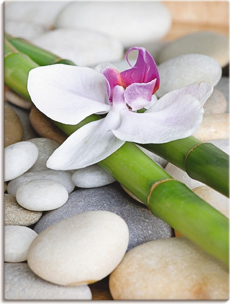 ARTland Leinwandbild Zen Orchidee Größe: 60x80 cm