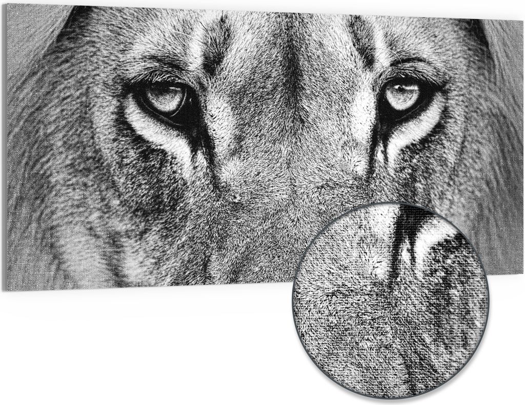 DEQORI Hybrid Leinwand Bild 100x50 cm 'Majestätischer Blick' Wandbild Glas flach modern