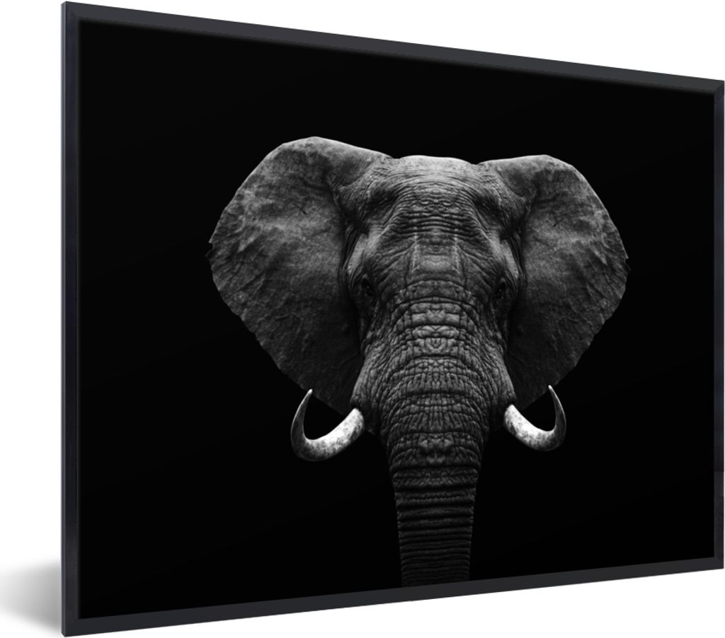 MuchoWow Gerahmtes Poster Tiere - Elefant - Porträt - Schwarz - Weiß 40x30 cm - Poster mit Schwarzem Bilderrahmen Wandposter Rahmen Foto Bilder...
