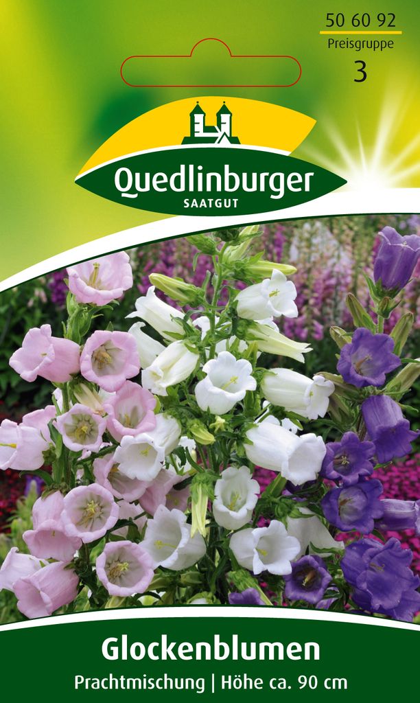 Quedlinburger Saatgut - Glockenblume Prachtmischung - Samen Produktbild 