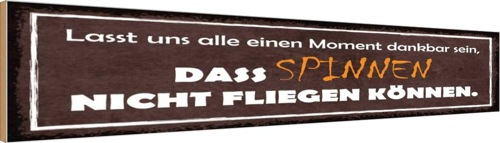 vianmo Holzschild 10x46 cm spinnen nicht fliegen können Dekoration