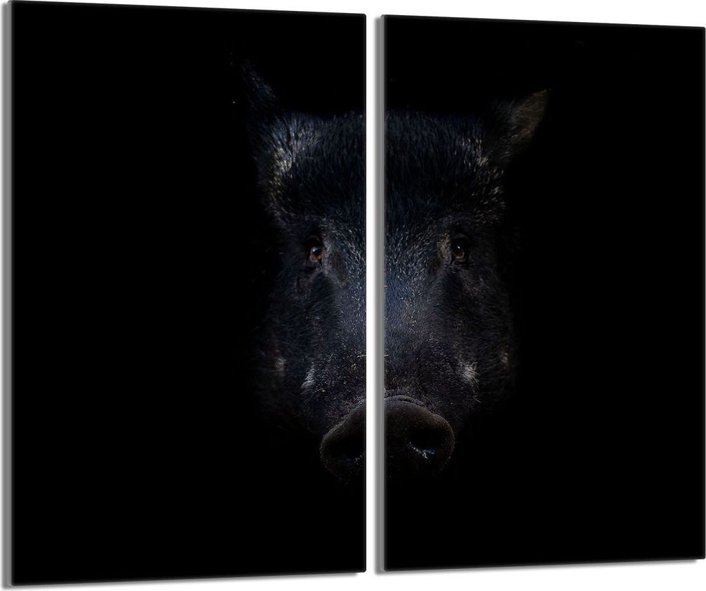 Glasschutzplatte für den Herd 2x30x52 Wildschwein