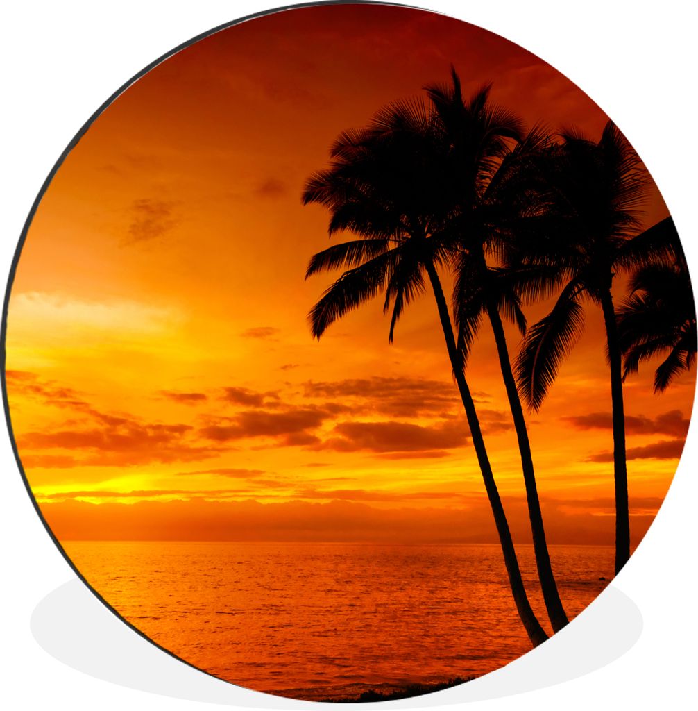MuchoWow Aluminium Wandkreis Palme - Sonnenuntergang - Tropisch - Orange - Meer Ø 60 cm Wanddeko Modern Wohnzimmer - Wand Kreis - Wandbild - Sch...