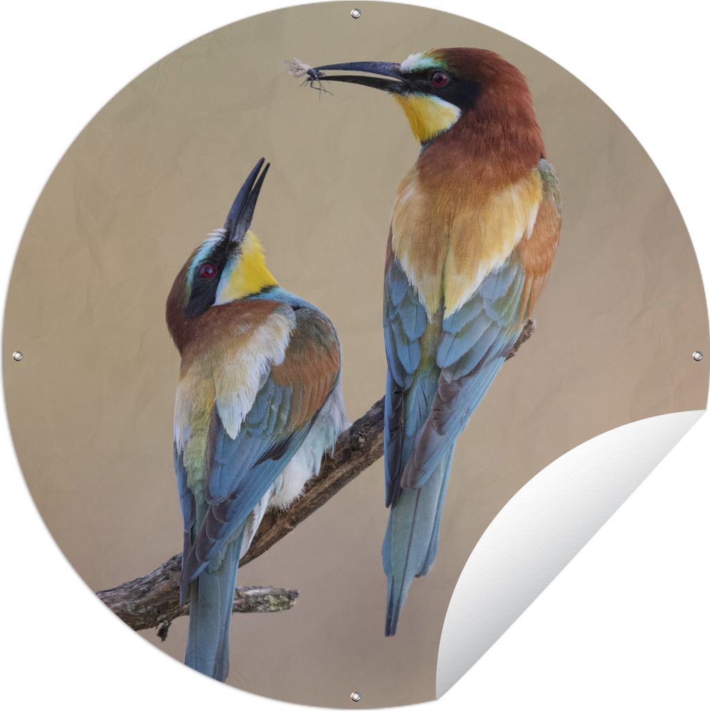 MuchoWow Gartenposter Outdoor-Poster Rund Vogel - Insekt - Freunde Ø 150 cm Gartendeko Rundes Poster draußen