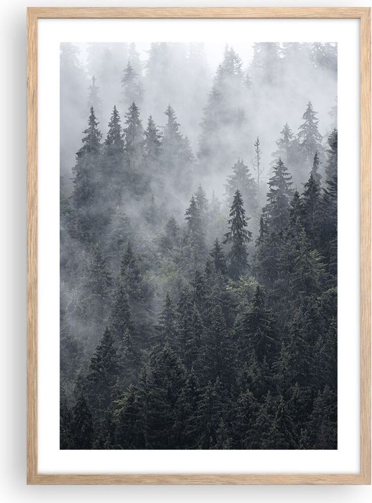 Gerahmtes Poster - Rahmen in heller Eiche - Wald Baum Natur - 50x70 cm - Wand Bild - Wanddeko - Wandbilder - Kunstposter - Wandposter - Bilderrahme...