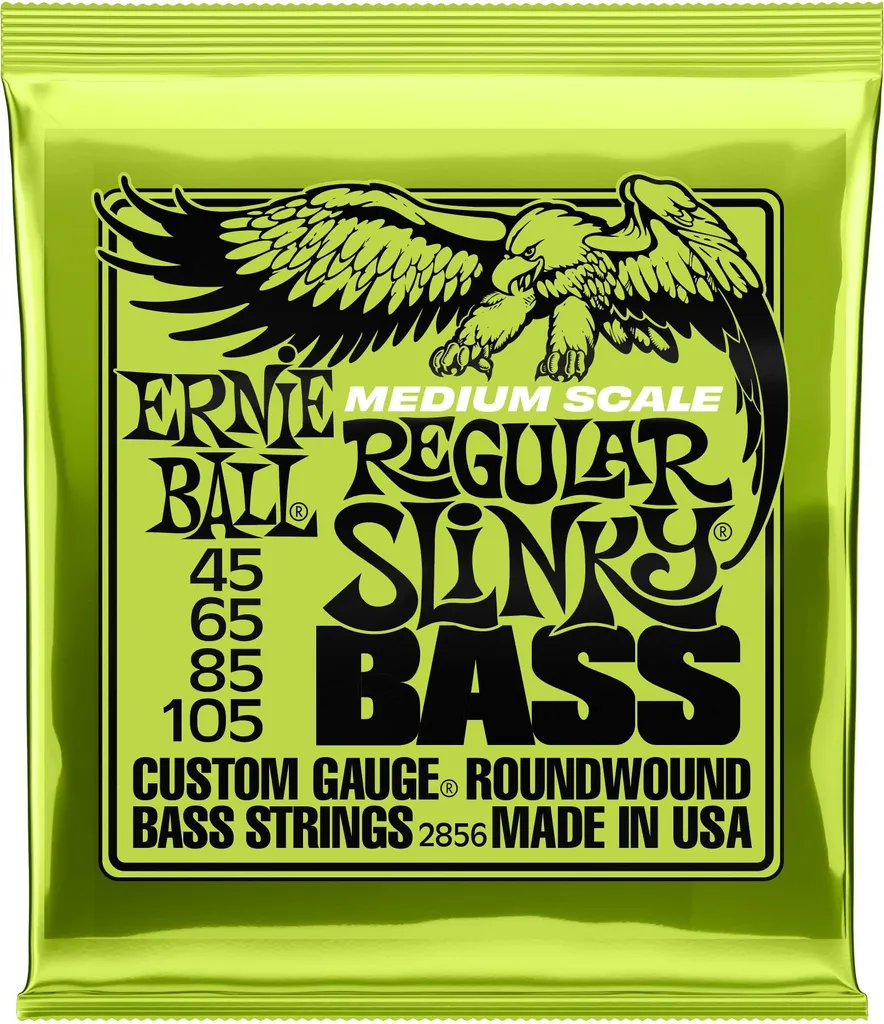 Cordes basse nickel Ernie Ball Regular Slinky 45-105 son brillant et chaud