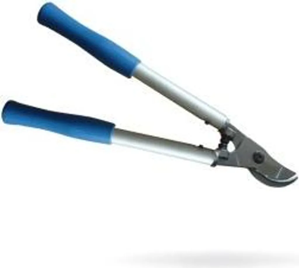 Ébrancheur forgé 60 cm REVEX 152520 : Coupe-branche professionnel