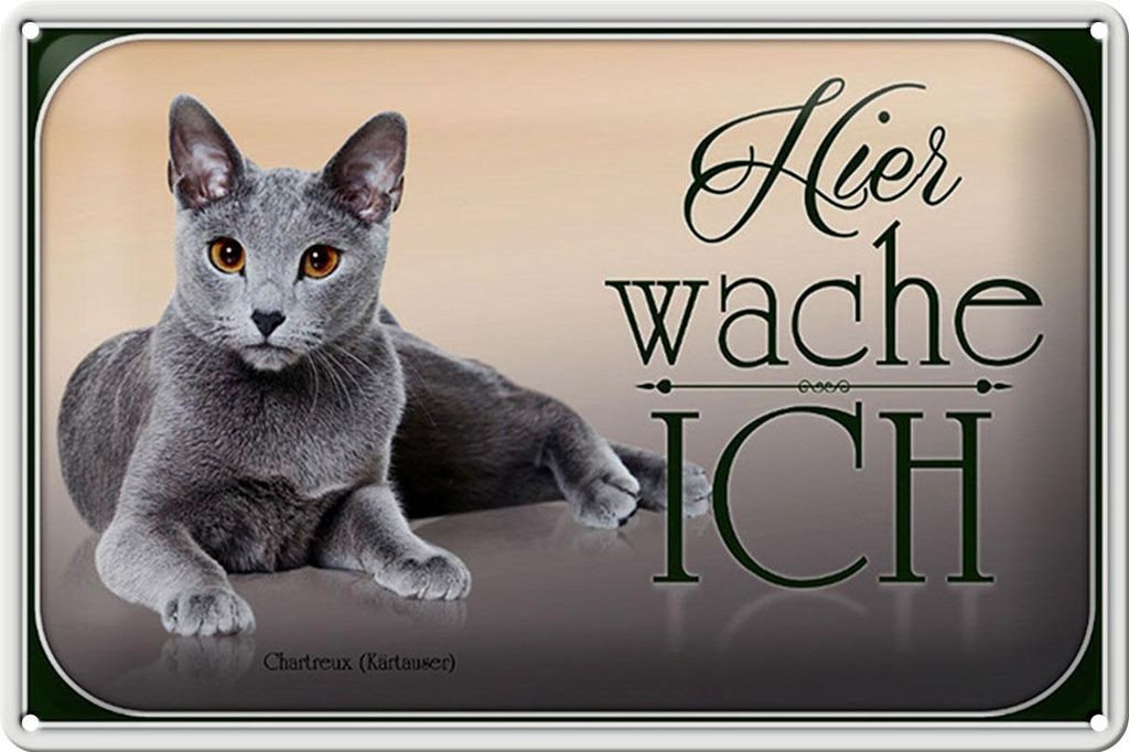 Blechschild Katze 30x20cm Chartreux hier wache ich