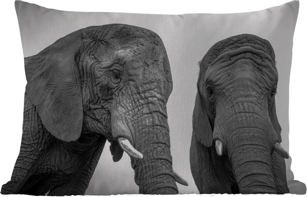 MuchoWow Outdoor Kissen - Neugierige Elefanten in Schwarz und Weiß - 50x30 cm - Wetterfest - Lounge Kissen - Sofa kissen - Wohnzimmer Dekoration