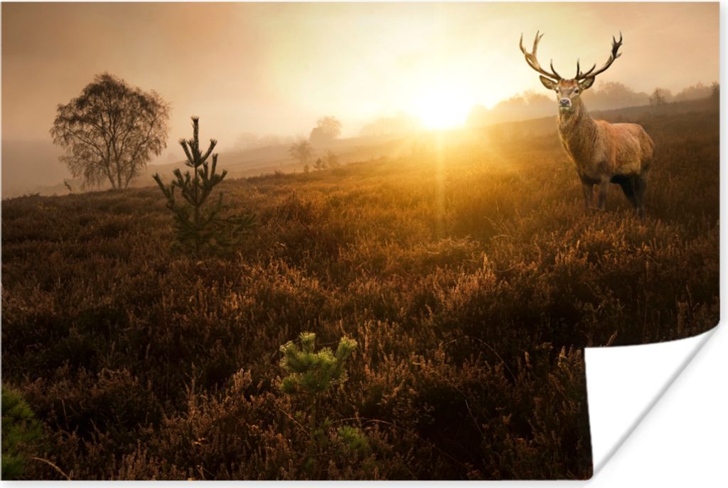 MuchoWow® Poster Hirsche - Nebel - Sonnenuntergang 180x120 Produktbild 