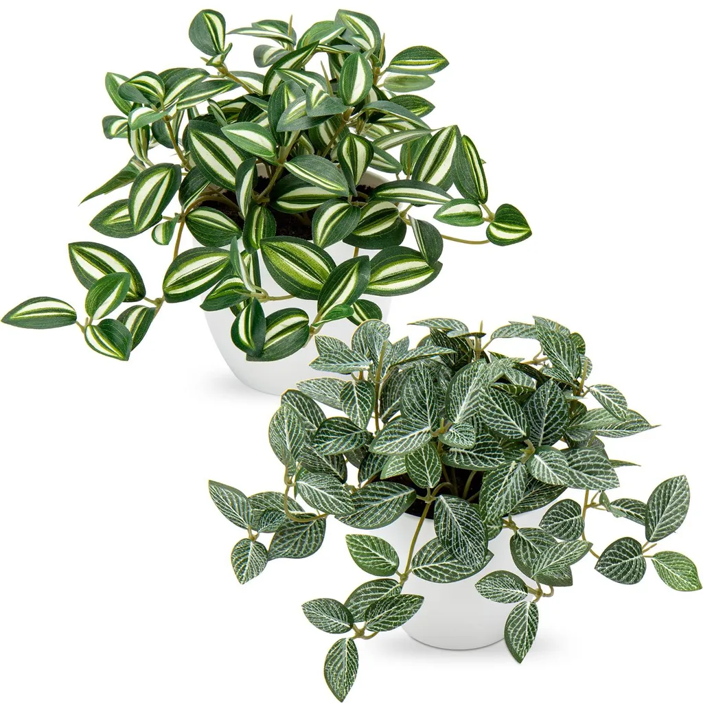 Plantes artificielles sans entretien Pothos et Fittonia effet naturel