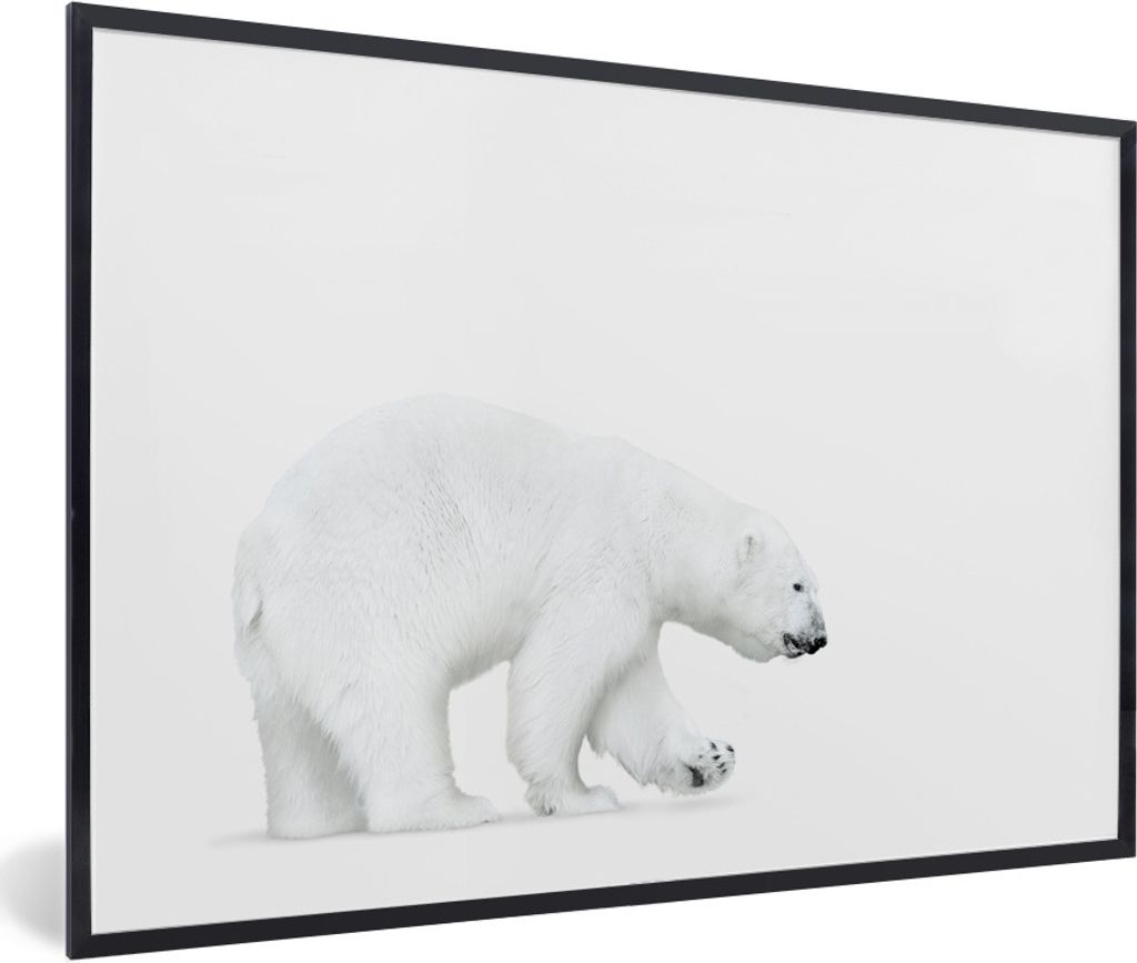 MuchoWow Gerahmtes Poster Eisbär - Tiere - Weiß 60x40 cm - Poster mit Schwarzem Bilderrahmen Wandposter Rahmen Foto Bilder - Printing - Wanddek...