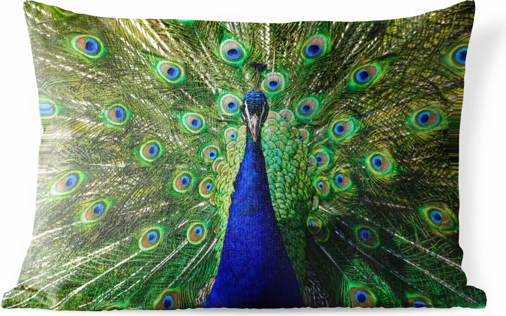 MuchoWow Outdoor Kissen - Pfau - Federn - Augen - Blau - 50x30 cm - Wetterfest - Lounge Kissen - Sofa kissen - Wohnzimmer Dekoration